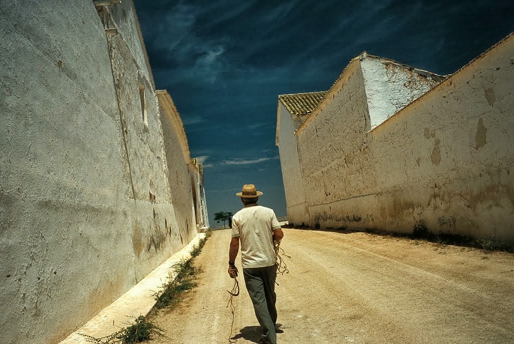 Territorios del Quijote