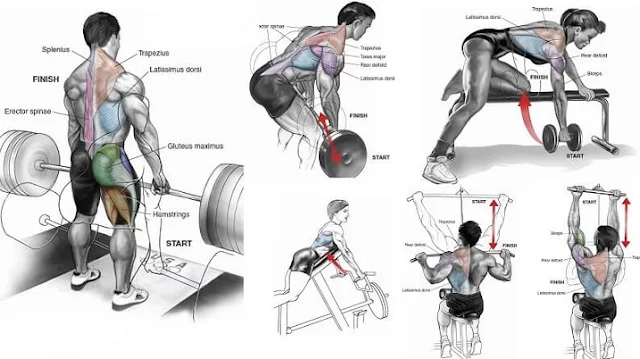 10 Best Muscle-Building Back Exercises!