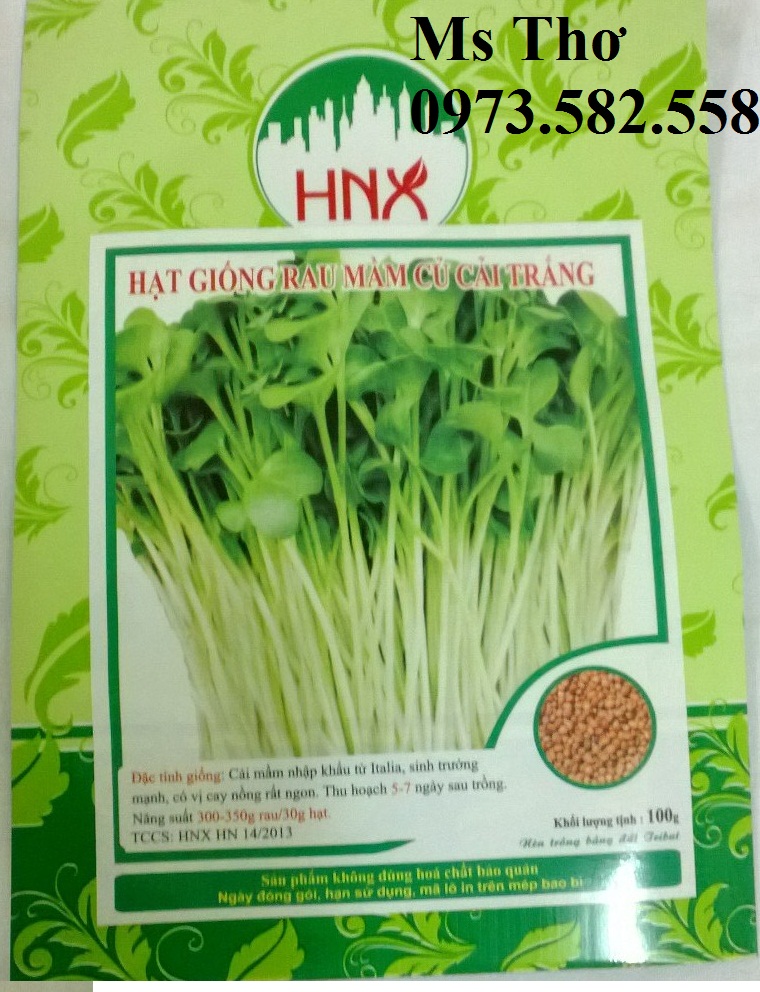 Hạt giống rau mầm Giải pháp trồng rau sạch tại nhà