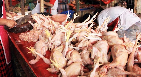 Harga Daging Ayam di Ternate Naik | Berita Maluku Online | Berita