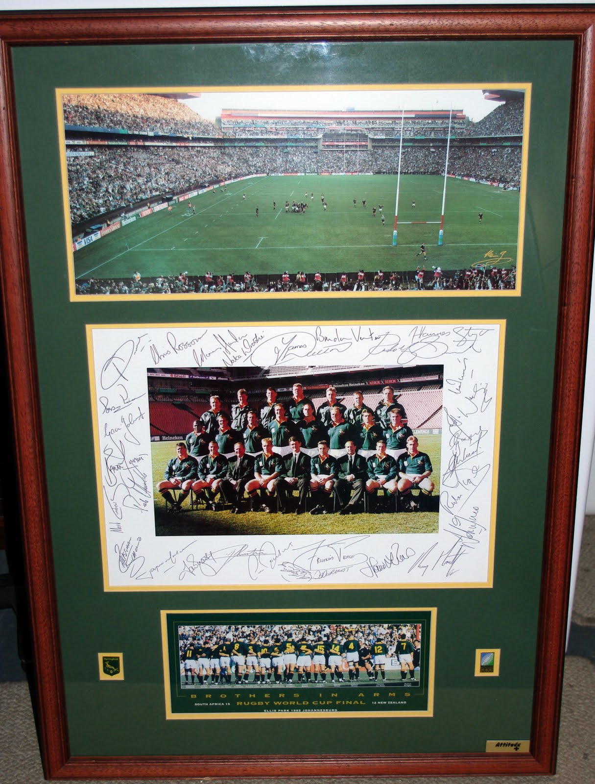 The MicAngelo Campaign Springbok 1995 Memorabilia