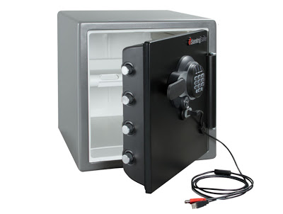 Power safe connect. Сейф Protector Firesafe 1060. Сейф Sentry 1330. Сейф Sentry 1400.