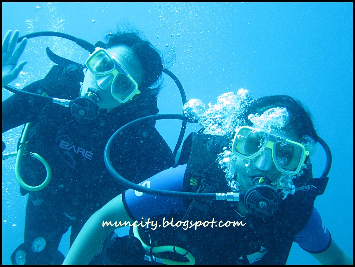 Lalalaland... Cuticuti Malaysia Muck Diving in Mabul Island