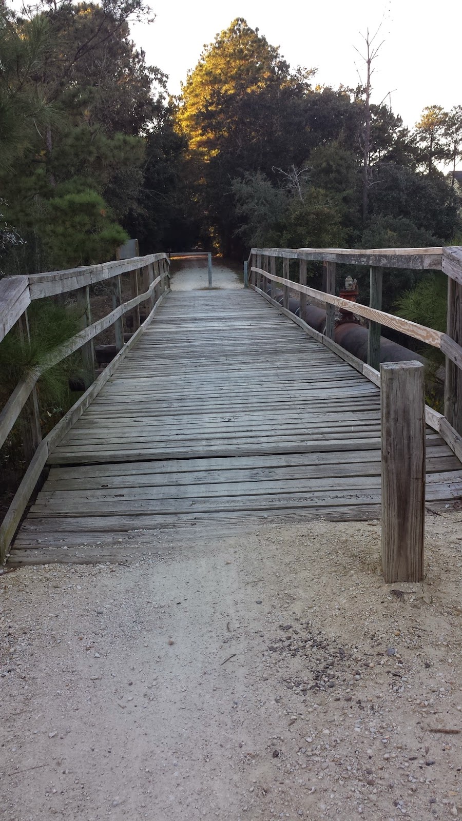 borrowed heaven: Weekend Exploring: The Greenway