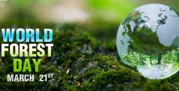 Quotes* International Day of Forests Quotes, Slogans, Images