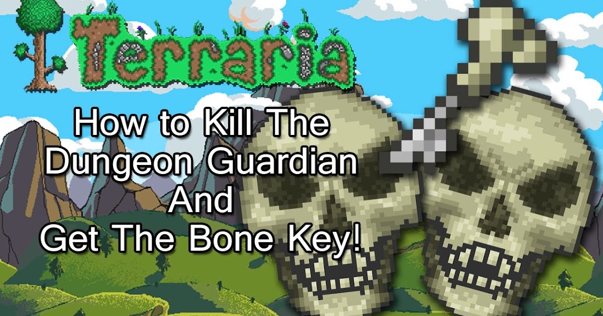 Ike06 Gaming: Terraria: My Theory About How to Kill the Dungeon