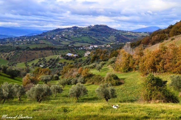Colline nei dintorni di Castelbasso Colline nei dintorni di Castelbasso
