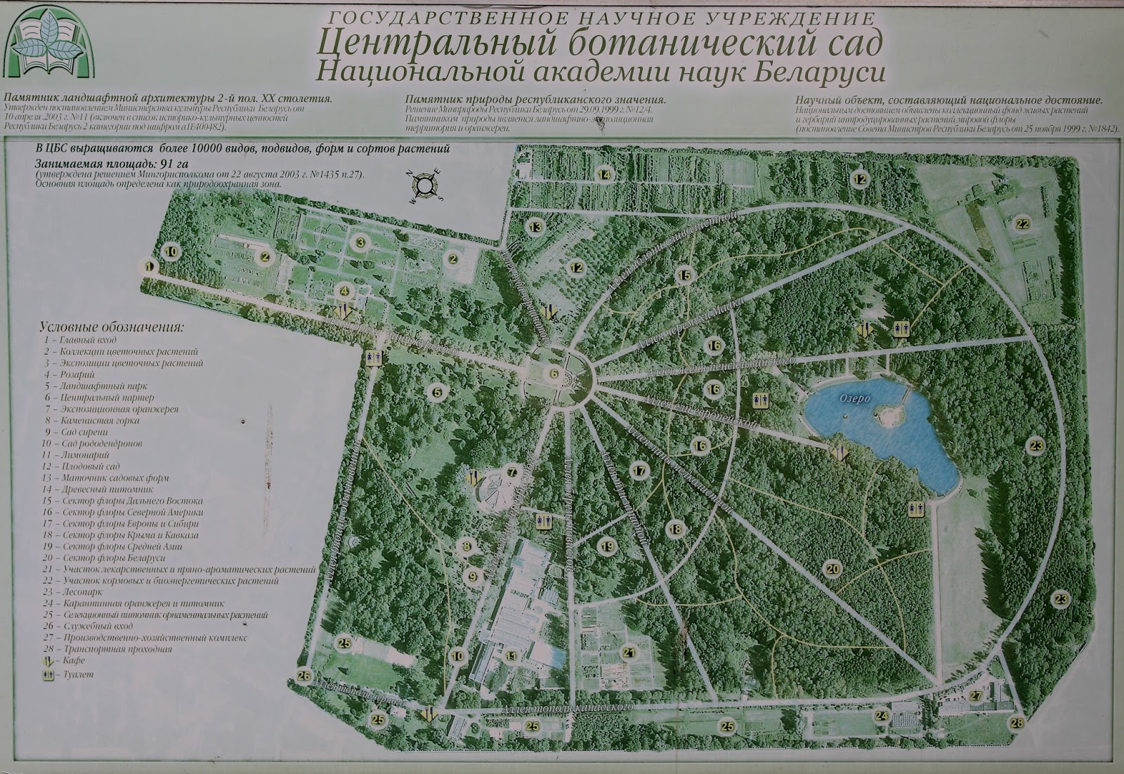 План ботанического сада Цицина