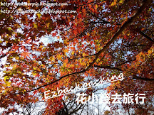 2019日本紅葉預測(11月12日更新)