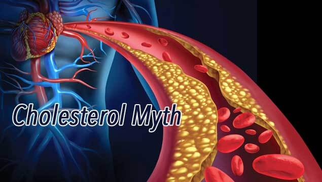 Cholesterol : The Hidden Truth 