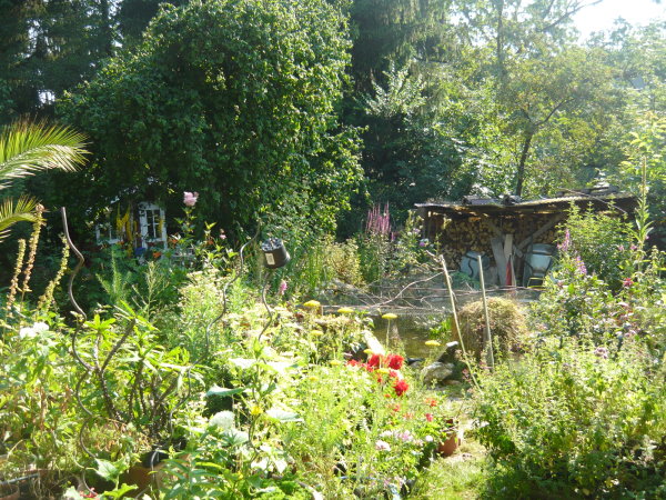 Be Veggie - get fit!: Pfirsich Limes