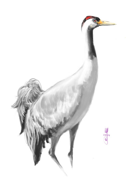 Crane bird painting by Artmagenta