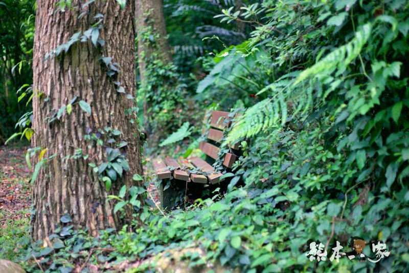 一秒到歐洲|苗栗飛牛牧場|最美牧場和大草原~野餐嬉戲觀乳牛、人工濕地護自然