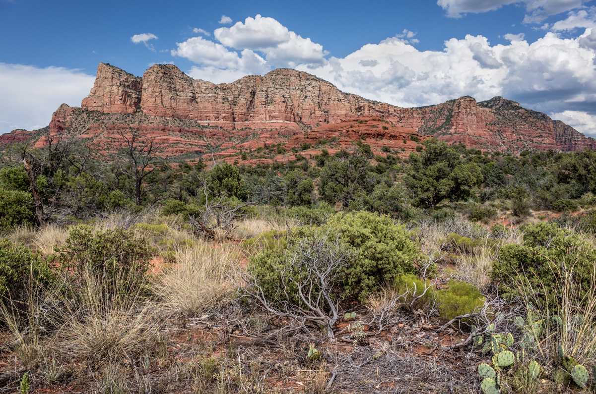 Carl Garrard Photography Landscape, Sedona Arizona Chaparral