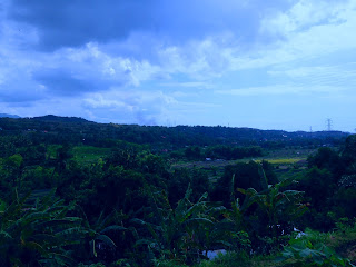 Natural Landscape Of Farming Area At Patemon Village