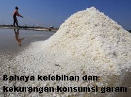 kelebihan dan keurangan konsumsi garam