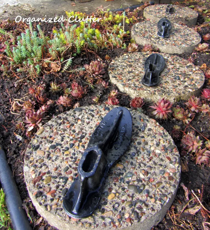 Stepping Stones & Iron Shoe Forms in the Succulent Garden www.organizedcluttedqueen.blogspot.com