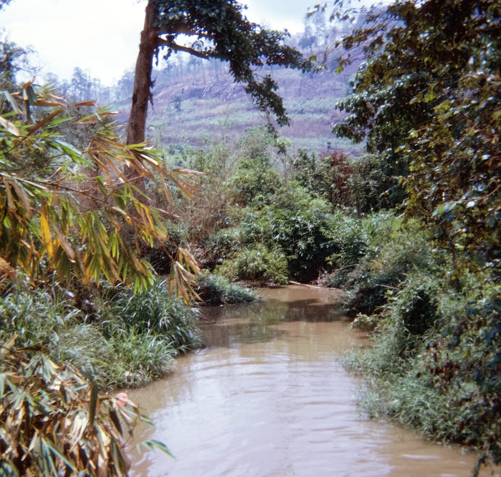 Snapshots from the Vietnam War Drinking