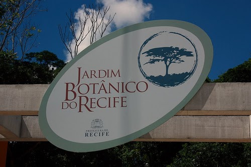 ipe de jardim botânico:ORQUIDÁRIO DOS OLIVEIRA: ORQUIDÁRIO DO JARDIM BOTÂNICO DO RECIFE ipe de jardim botânico:ORQUIDÁRIO DOS OLIVEIRA: ORQUIDÁRIO DO JARDIM BOTÂNICO DO RECIFE