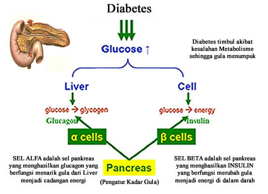 Apa yang Terjadi Pada Diabetes: 2014