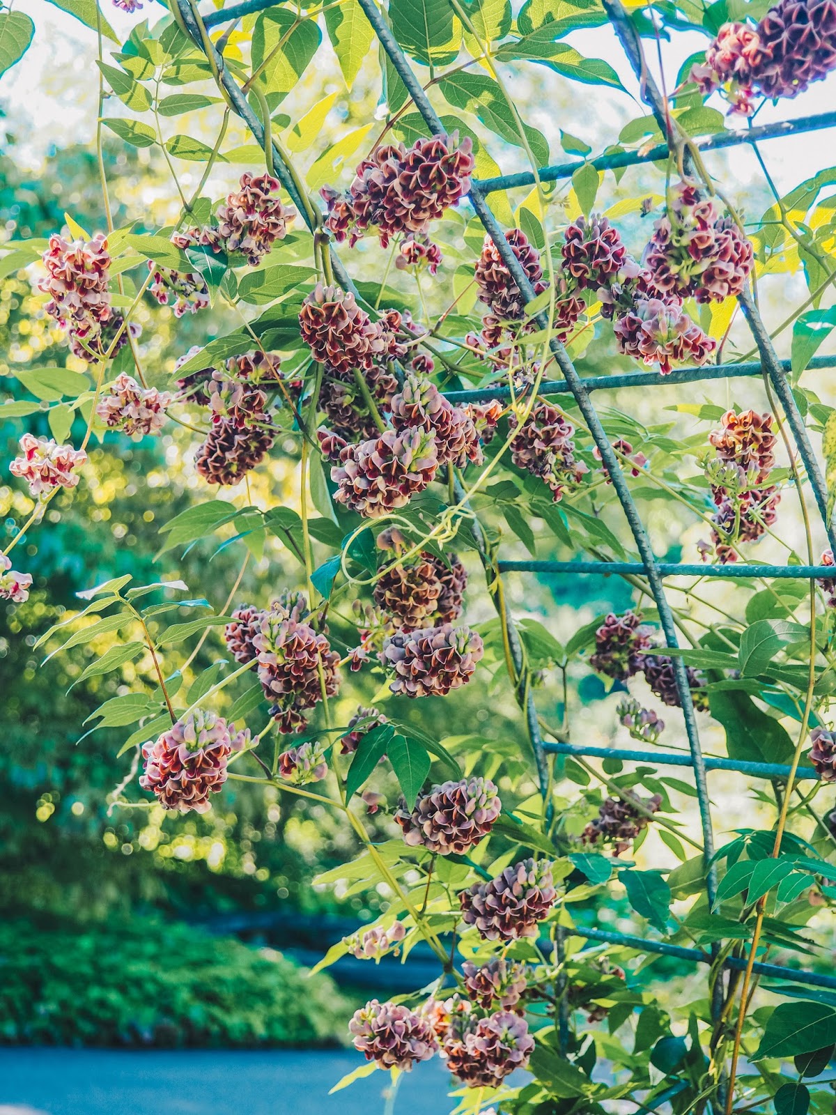 Daily Lazy Rob Pruitt At Kunsthalle Zurich Zurich