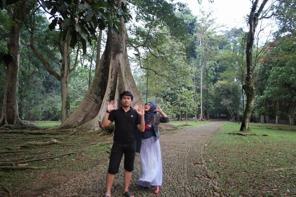 Dwiardianti's blog