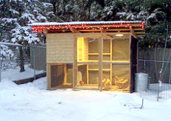 coop chicken winter build cold warm weather chickens plans care inexpensive backyard coops keeping thegardencoop heat heating madison tips water