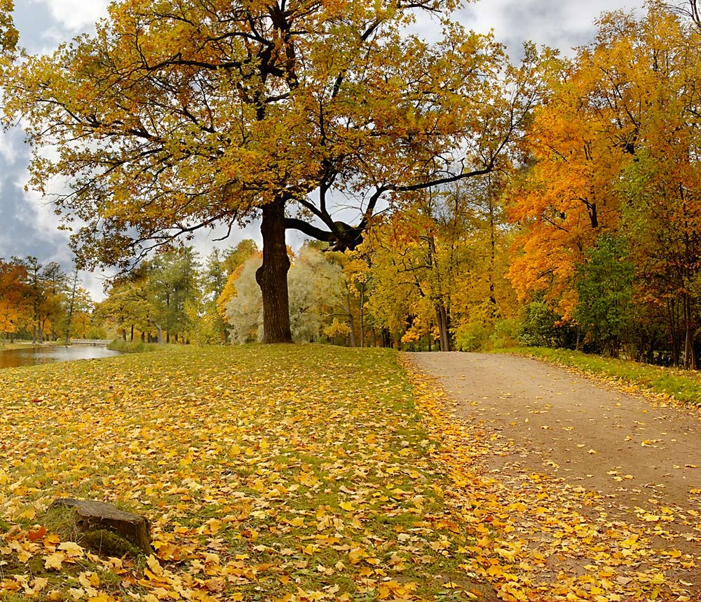 стихи про осень. природа вологодской области осень. осень продолжить. красоты россии. красивая осень.