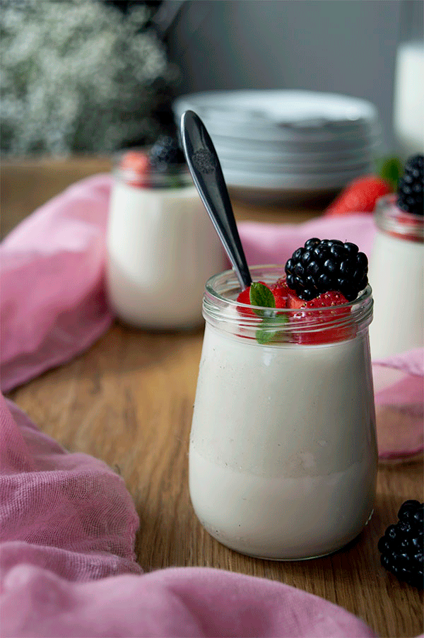 GELATINA DE LECHE A LA VAINILLA TuvesyyoHago