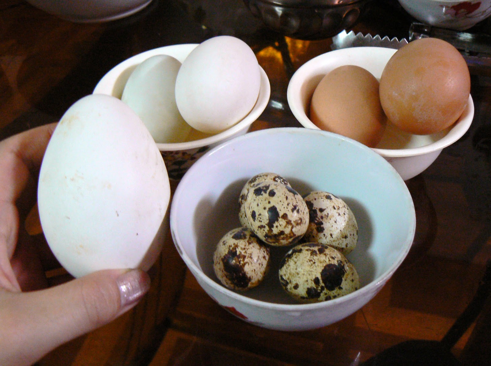 Гусиные яйца едят. Гусиные яйца. Блюда из гусиных яиц. Яйца гуся. Что приготовить с гусиных яиц.