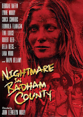 Nightmare In Badham County Dvd