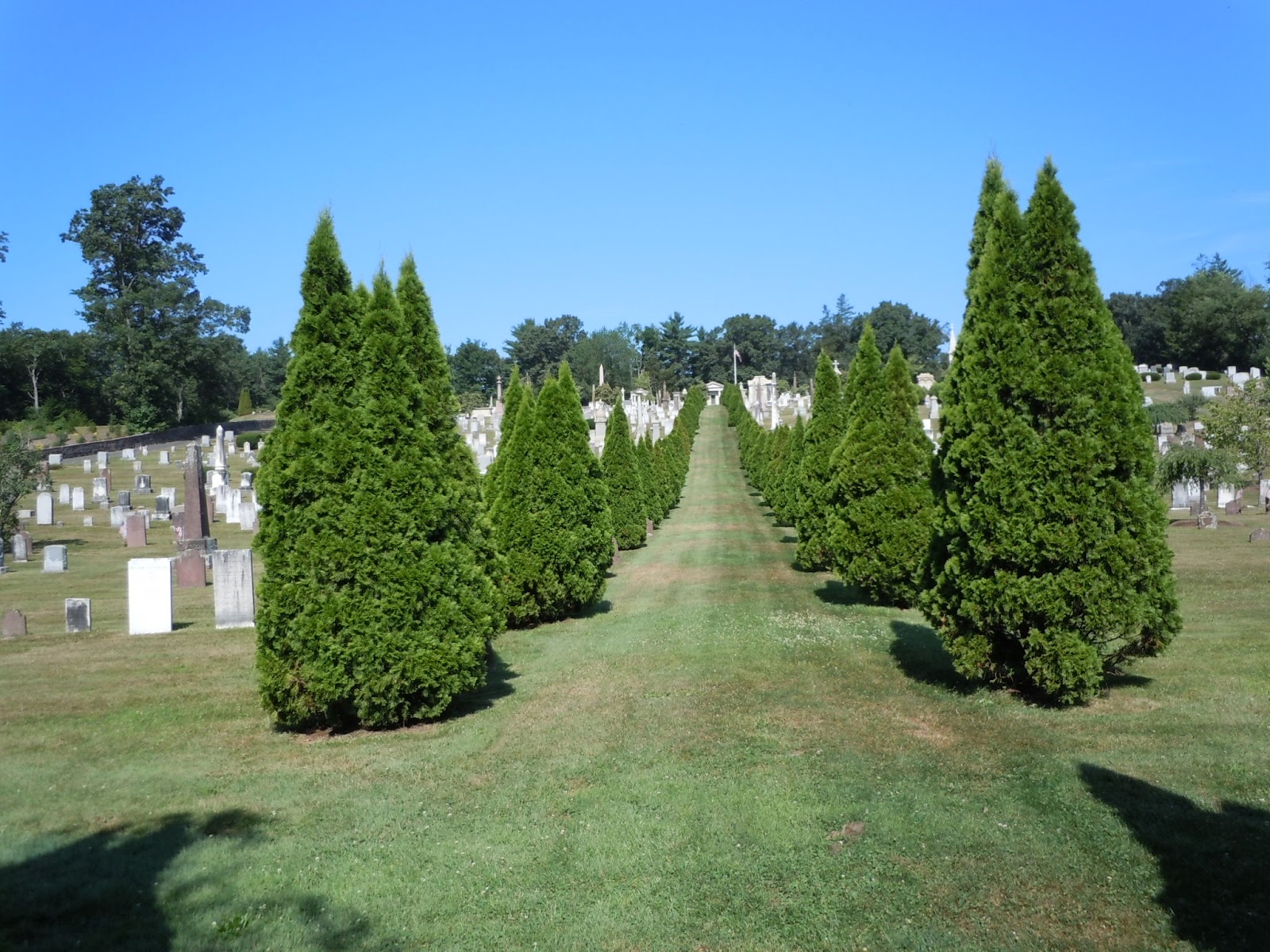 Life From The Roots John Higley at Simsbury Cemetery Tombstone Tuesday