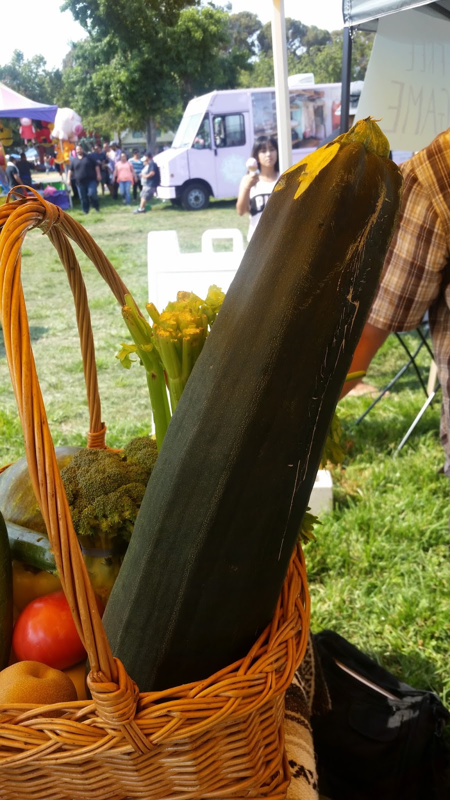 Adventures in Weseland Hayward Zucchini Festival 2016