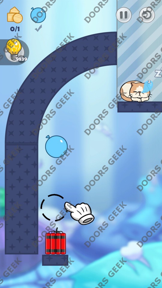 Hello Cats Final Level Hello Cats Final Level