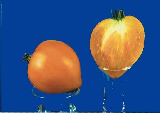 ������� ������� !!!!���� ��� ����� ����� �� ������ �� ��� ���� 