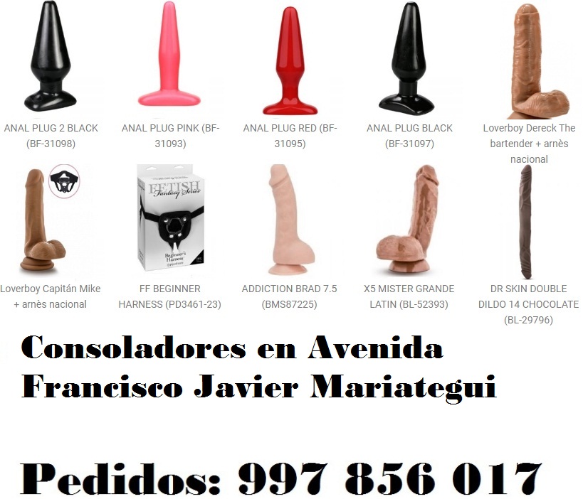 en Avenida Francisco Javier Mariategui