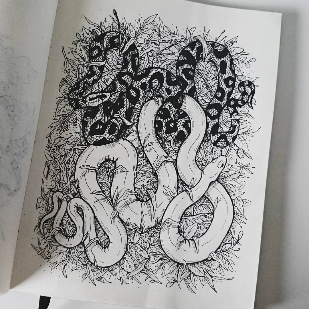 04-Snakes-Weronika-Kolinska-Black-and-White-Animal-Ink-Drawings-www-designstack-co