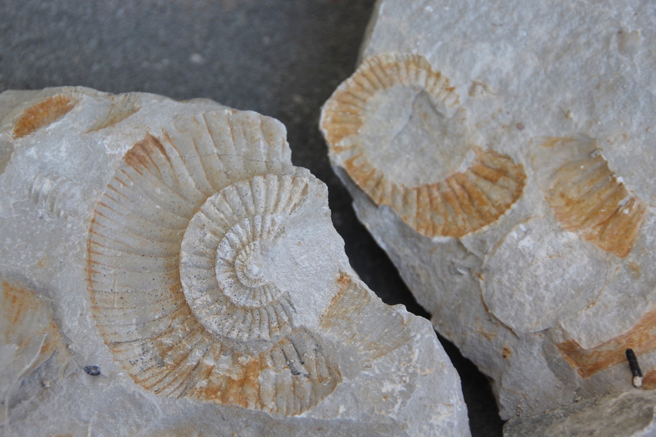 Natur Braucht Schutz Naturpark Frankische Schweiz