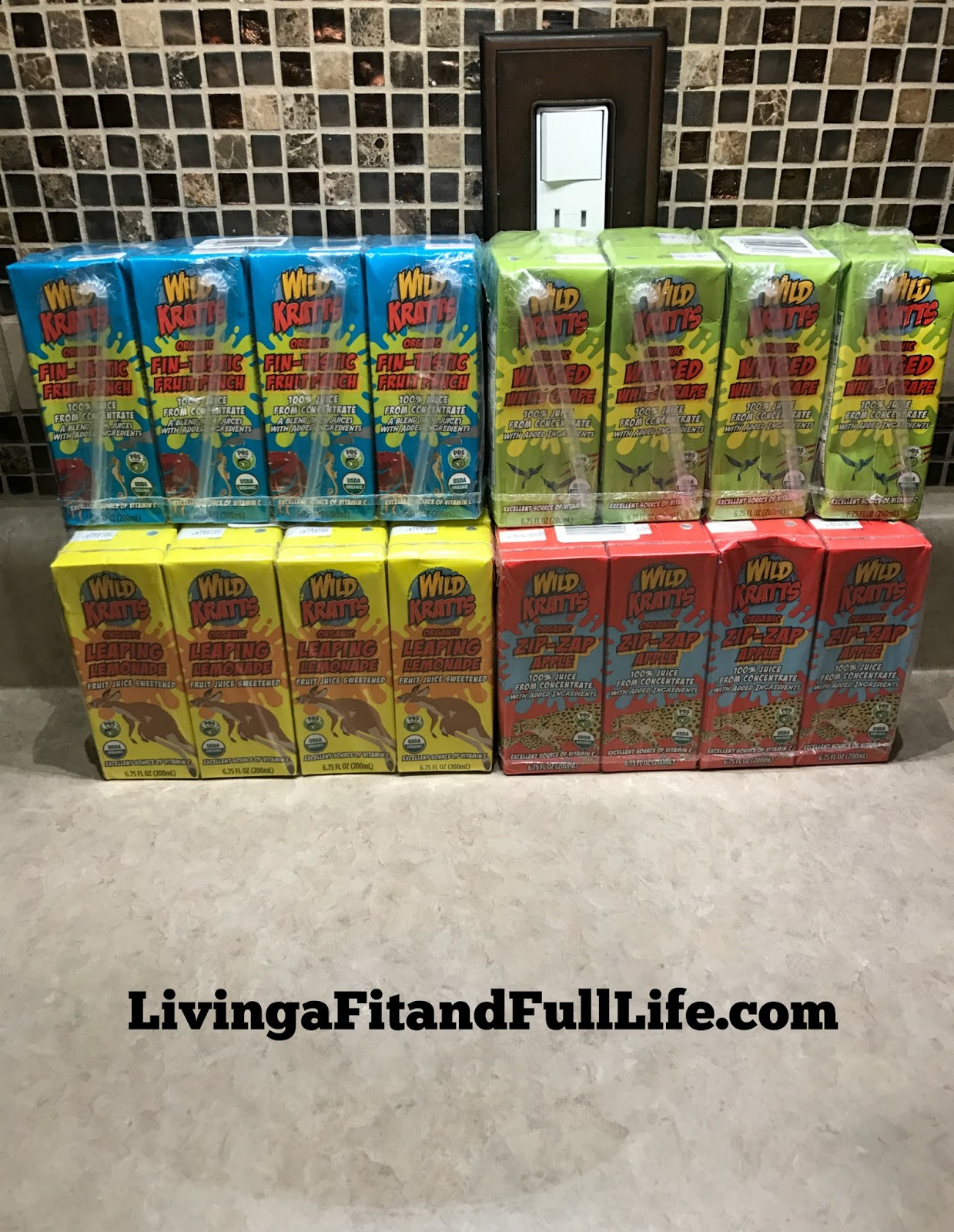 Living A Fit And Full Life The Ultimate Wild Kratts Birthday