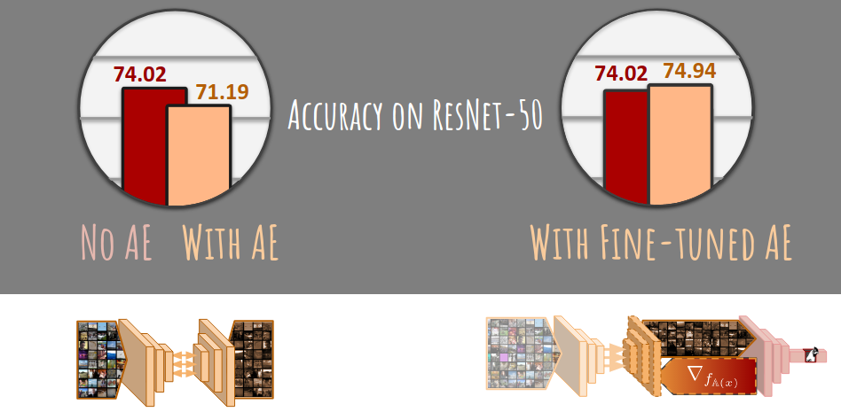 What do Deep Networks Like to See?