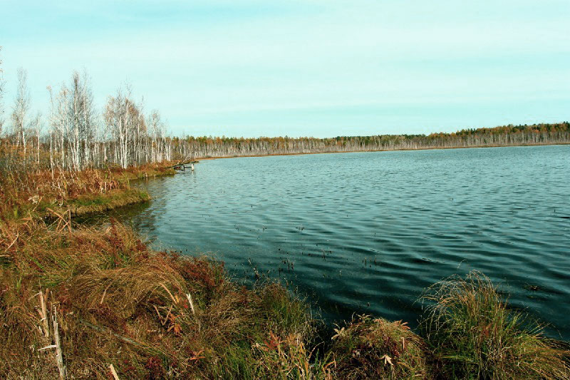 Озеро урманное