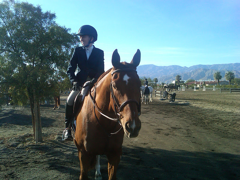 North Woods Farm Marisa & Altair at the Thermal Horse Show