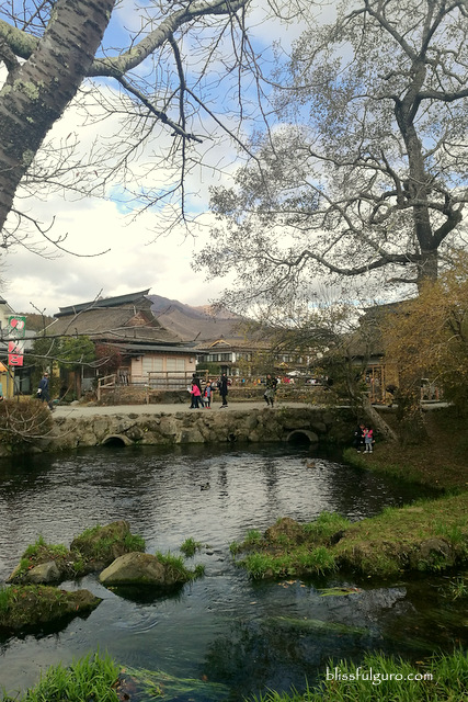 Oshino Hakkai Tour Autumn Blog