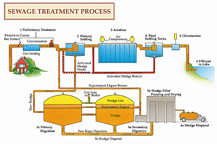 Sewage System Diagram