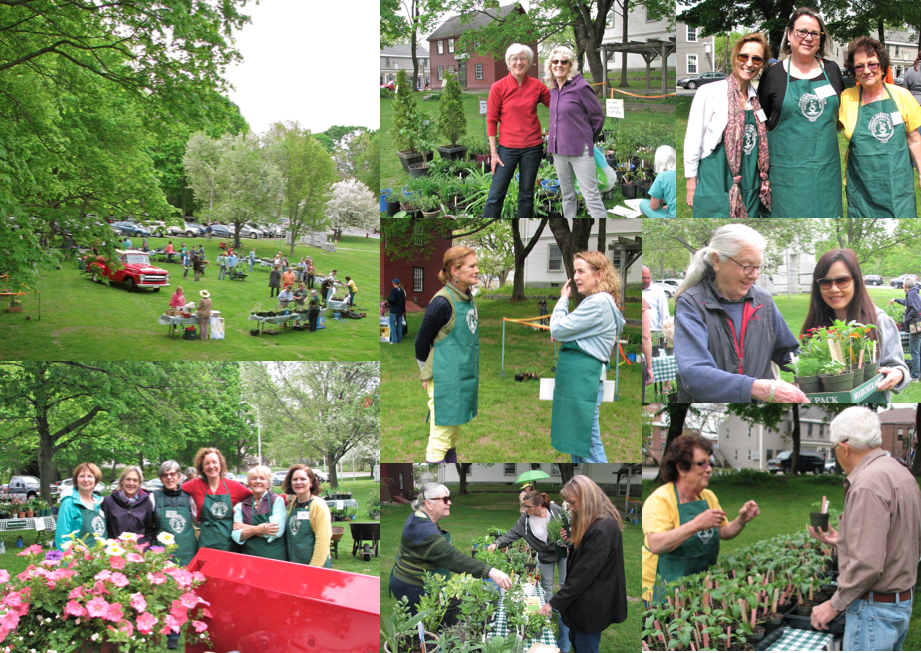 Ipswich Garden Club Annual Plant Sale