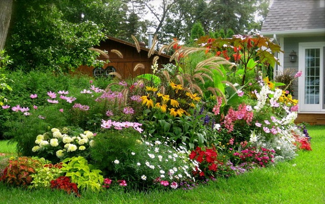 Warna-warni Bunga di Taman