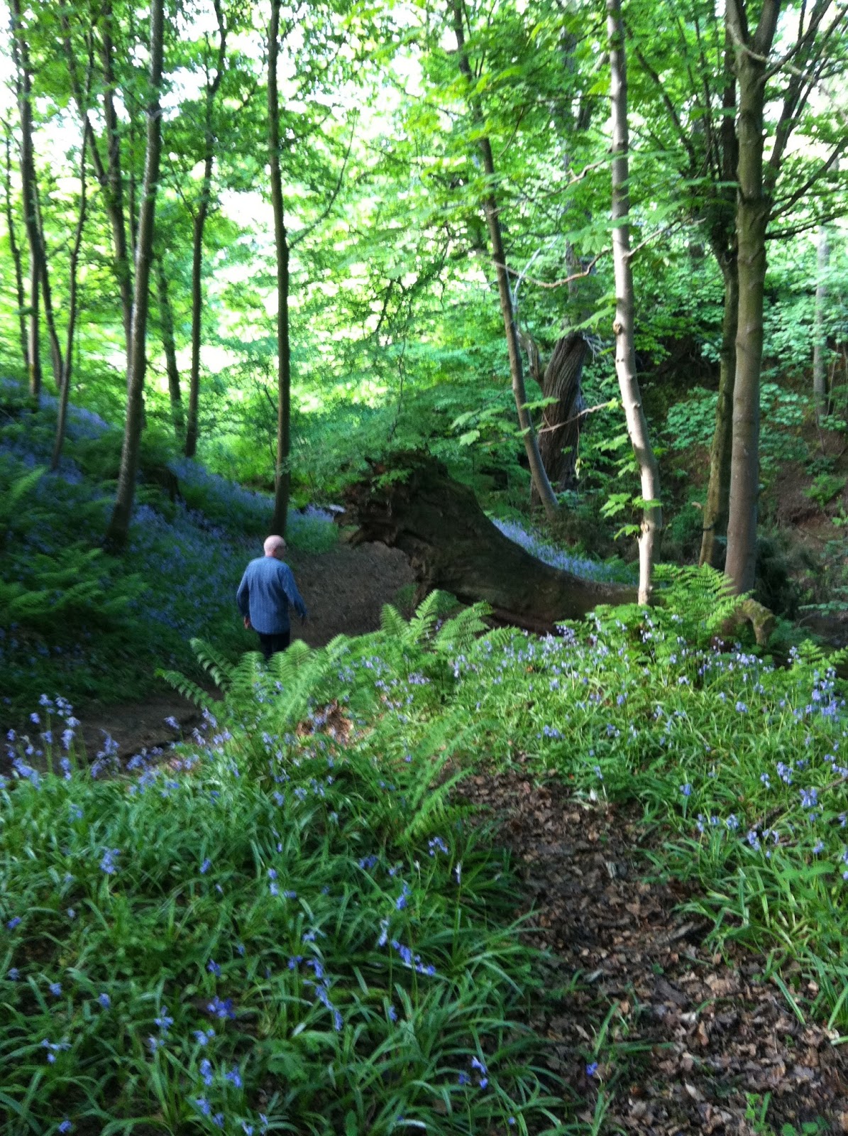 STORYWORLD The Real Garden of Eden