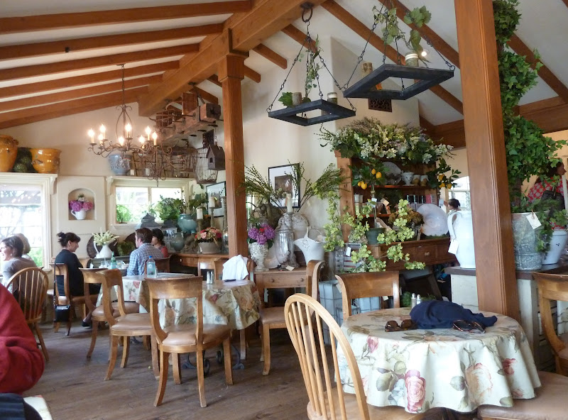 Observations Thyme in the Ranch