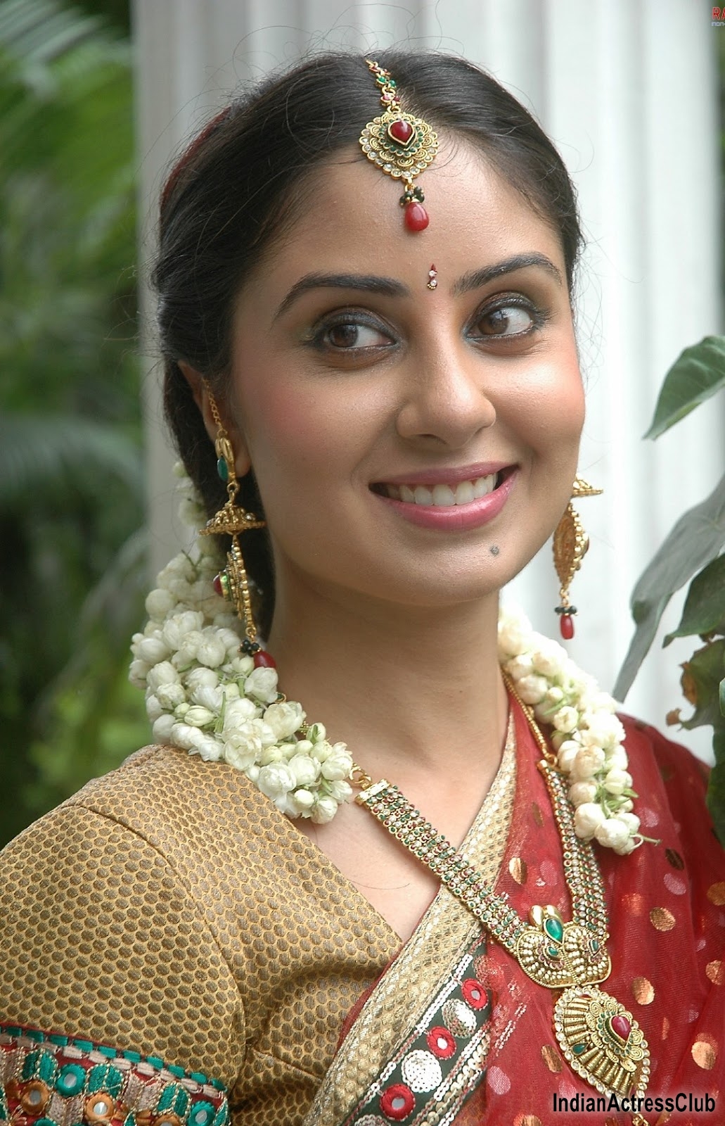 Bhanu Sri Mehra Adorned in Traditional Saree in Jewelery - Indian