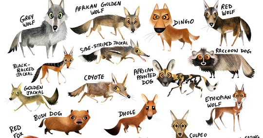green-humour-wild-canids-of-the-world